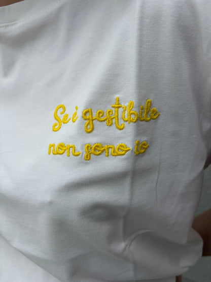 SE È GESTIBILE NON SONO IO